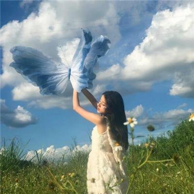 我养了个少年