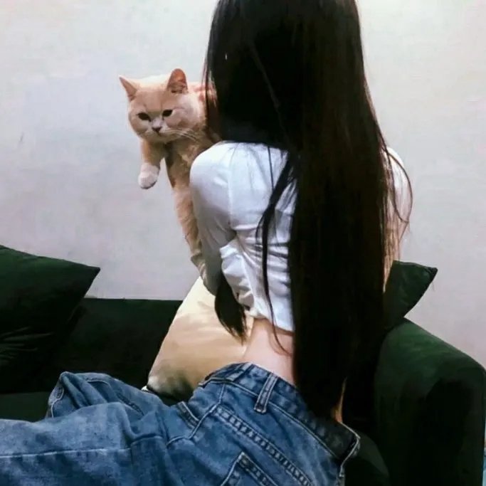 宝莱坞生死恋